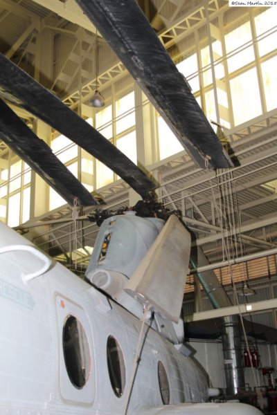ch461539656.jpg