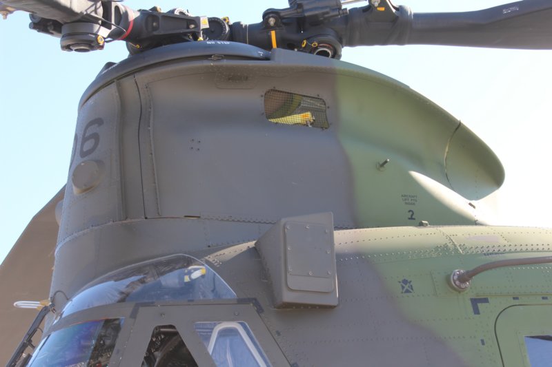 chinook14730613.jpg
