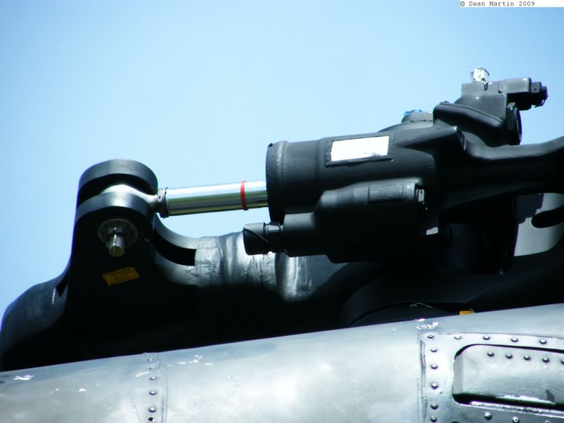 chinook900021618.jpg