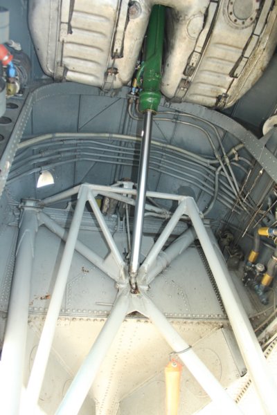 dc3cgdak6.jpg