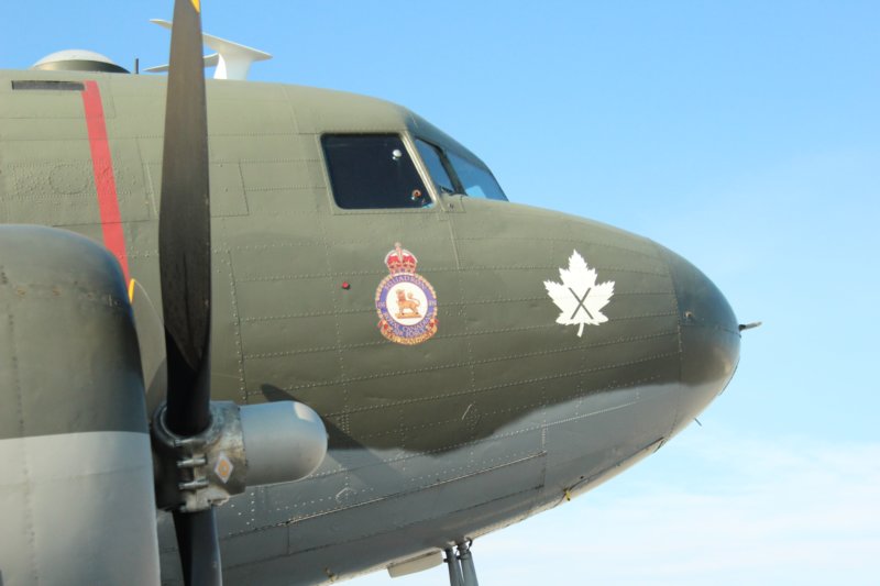 dc3cgdak8.jpg