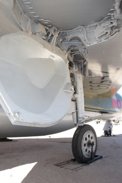 lightningzf5937.jpg
