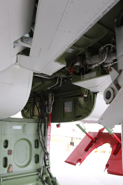 f1005.jpg