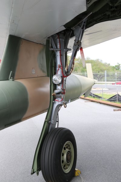 f1054.jpg