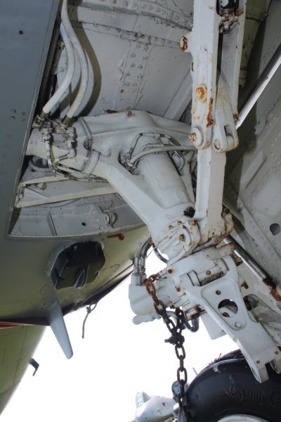 f167805917.jpg