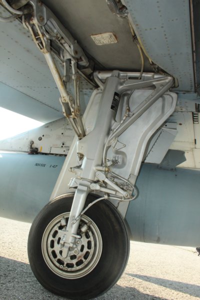 cf5freedomfighter8.jpg
