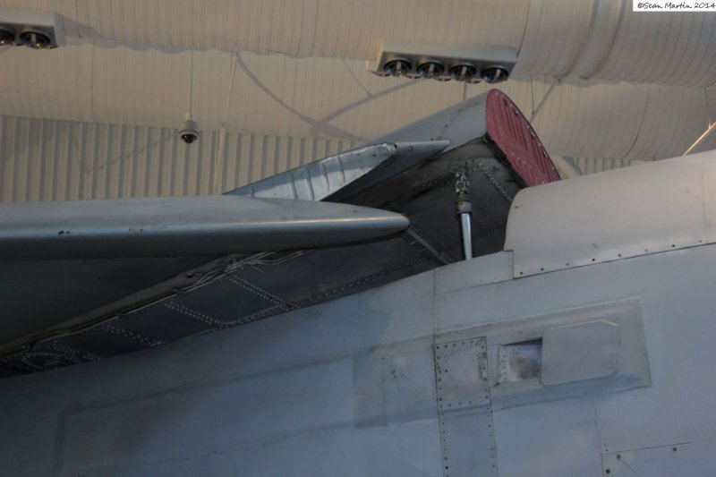 rf81468607.jpg
