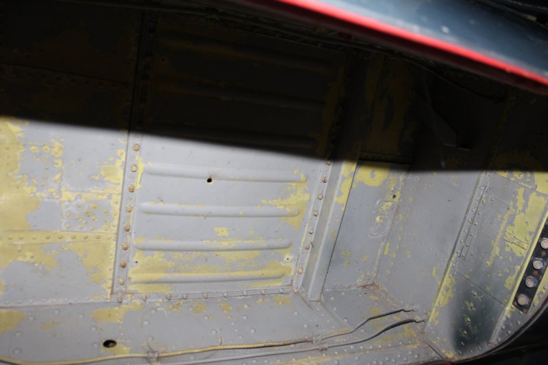 fh111176816.jpg