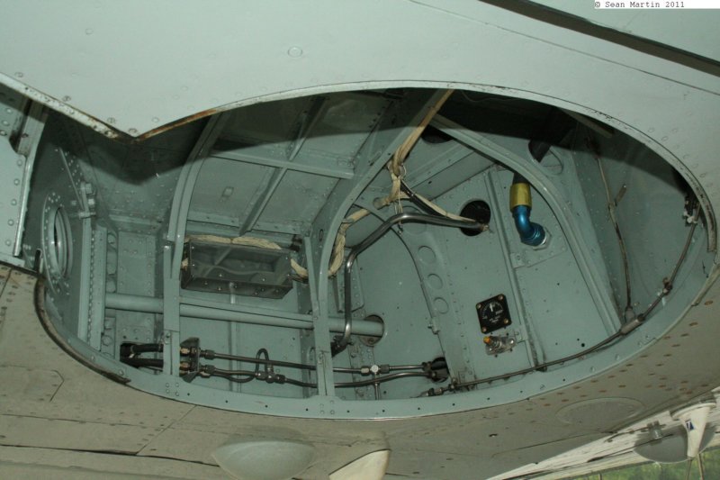 fireflycgbdg5.jpg