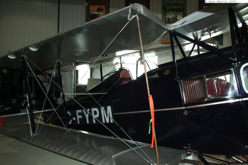 foxmothcfypm6.jpg