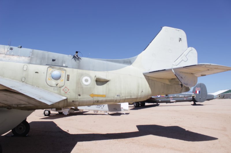 gannetxl4824.jpg