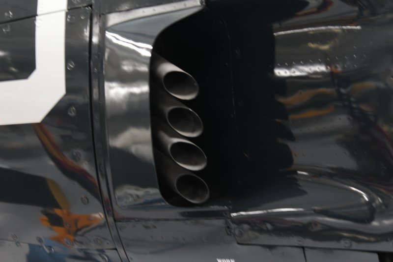 guardianbuno2673115.jpg