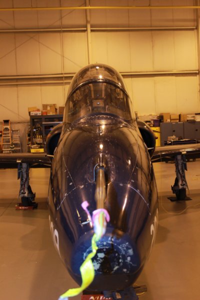 hawk15520939.jpg