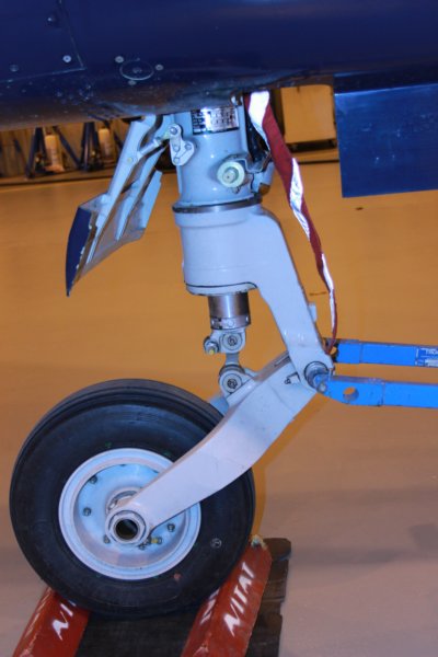 hawk1552094.jpg