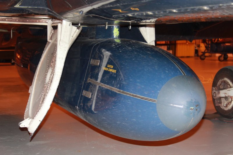hawk1552099.jpg