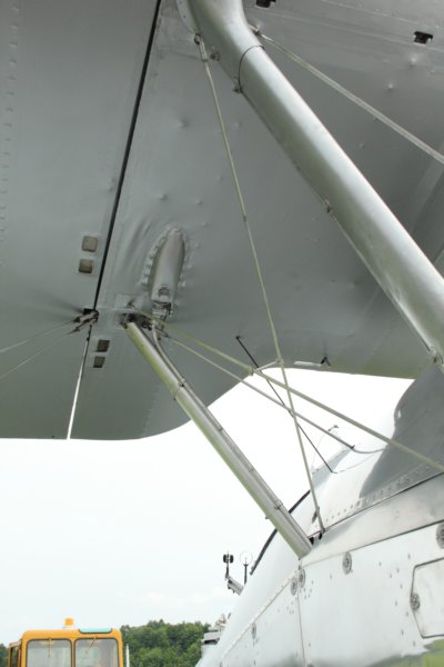 hindl718025.jpg