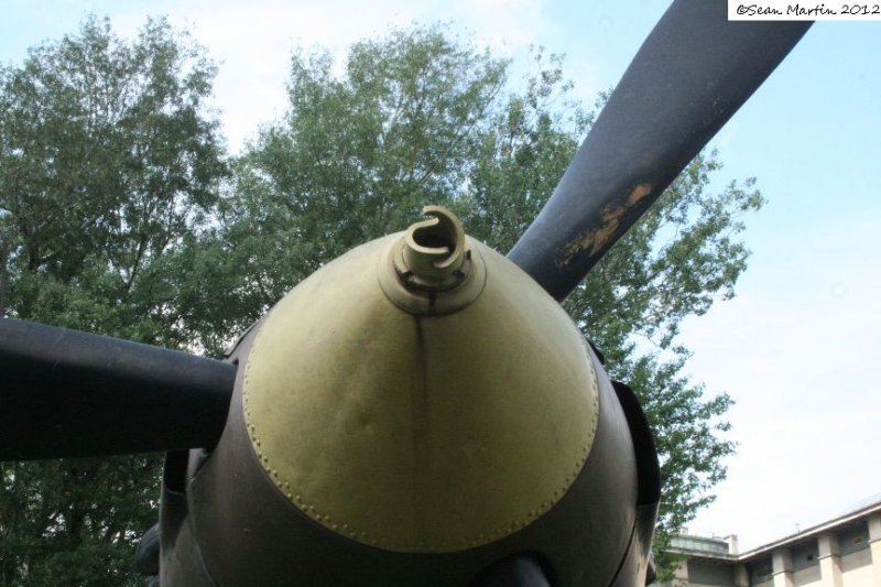 polishil2il108.jpg