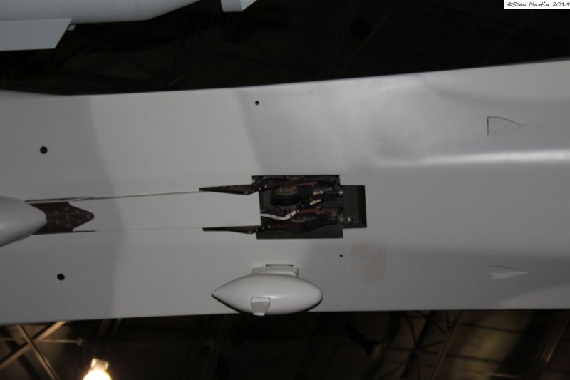mq90240023.jpg