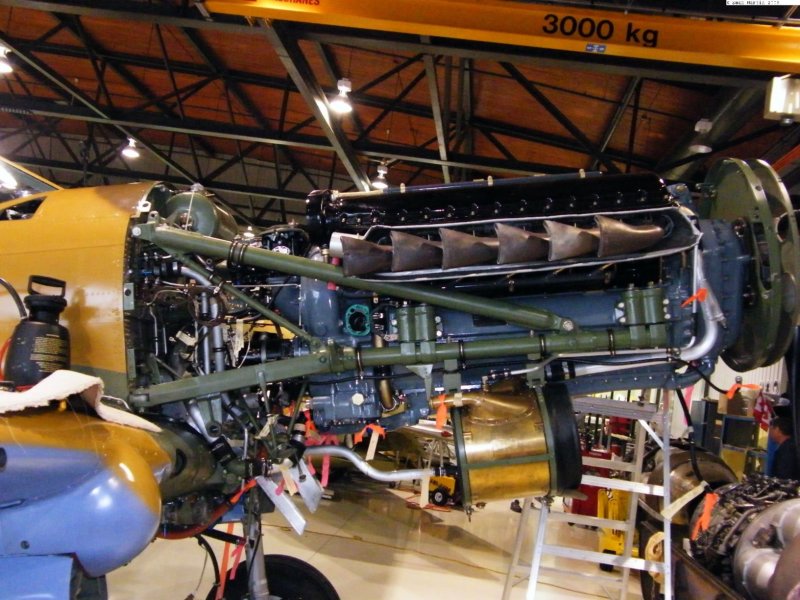 p40cfvwc8.jpg