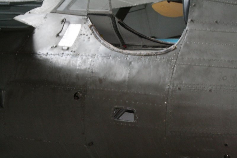 pzlp117.jpg