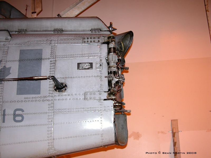 seaking1241642.jpg