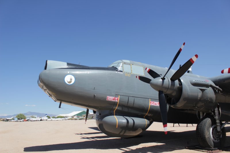 shackletonwl7905.jpg