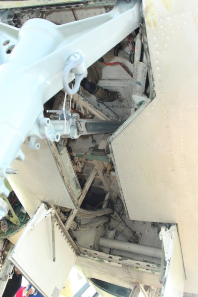 trackerrcn157719.jpg