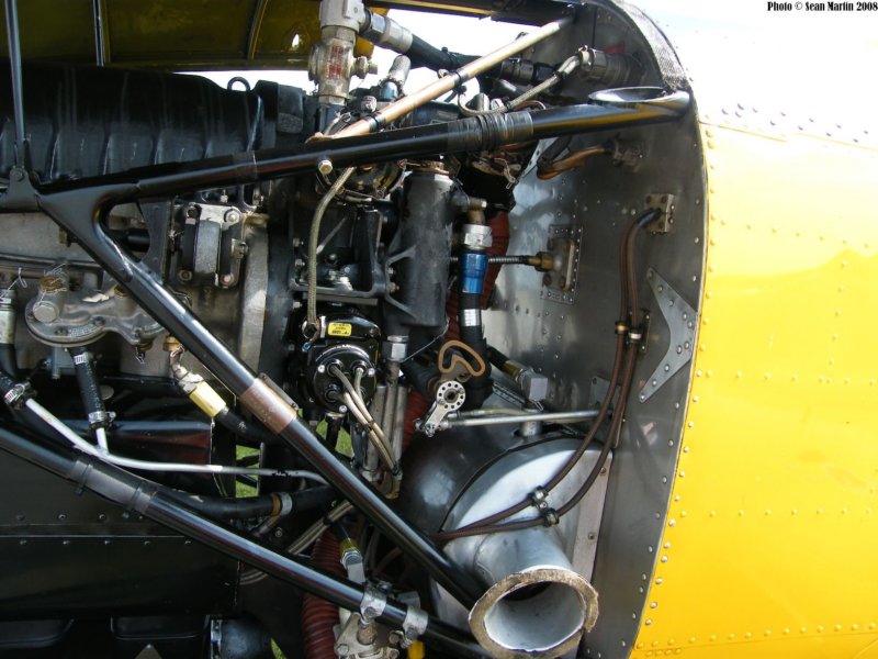 chipmunkcfbnm3.jpg