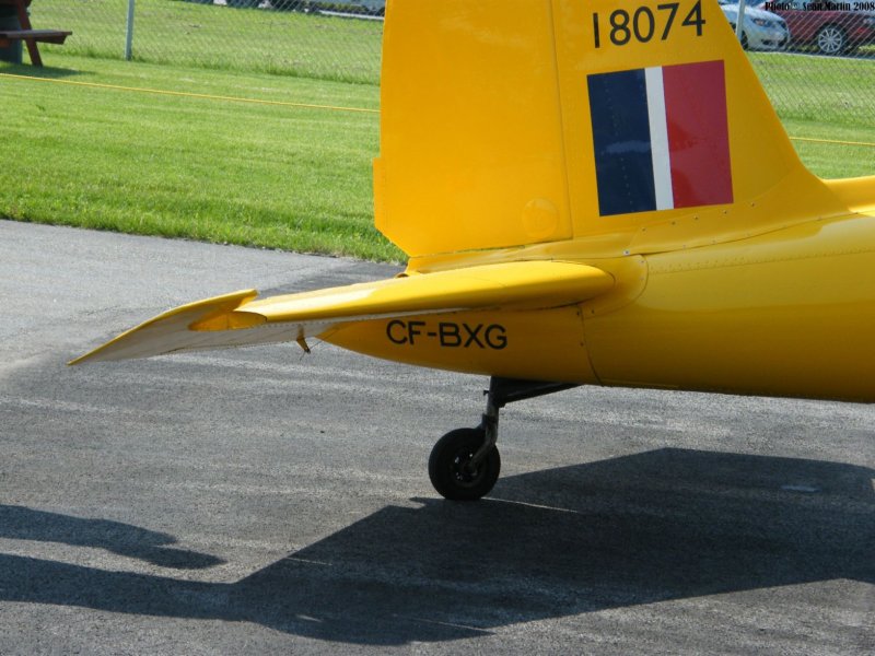 chipmunkcfbxg2.jpg