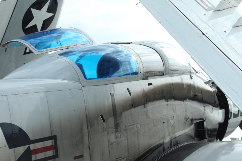 a1ead5n65164.jpg
