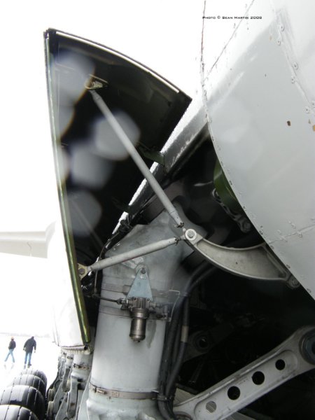 an12431.jpg