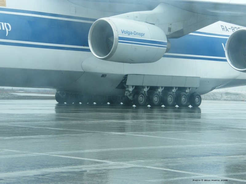 an1246.jpg