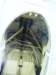 c54n500ej3_small.jpg