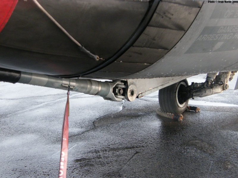 cf188b18893717.jpg