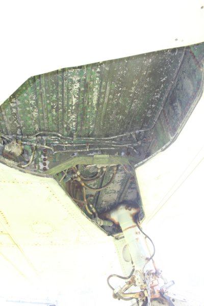rf845116645.jpg
