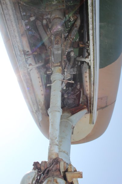 rf845116649.jpg