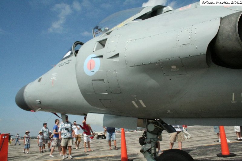 harriern9442210.jpg