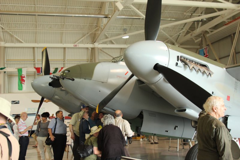 mosquiton114ka33.jpg